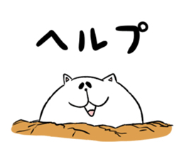 Too thick! white cat Boo mew sticker #1536970