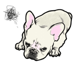 French Bulldog "BULLO" 1 sticker #1539536