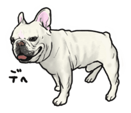 French Bulldog "BULLO" 1 sticker #1539538