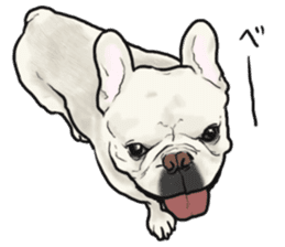 French Bulldog "BULLO" 1 sticker #1539544