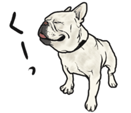 French Bulldog "BULLO" 1 sticker #1539545