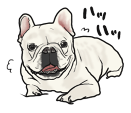 French Bulldog "BULLO" 1 sticker #1539548