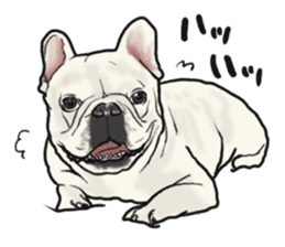 French Bulldog "BULLO" 1 sticker #1539548