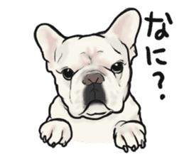 French Bulldog "BULLO" 1 sticker #1539549
