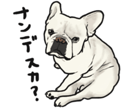 French Bulldog "BULLO" 1 sticker #1539552