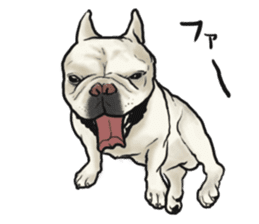 French Bulldog "BULLO" 1 sticker #1539557