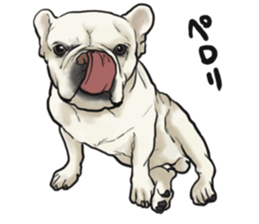 French Bulldog "BULLO" 1 sticker #1539558