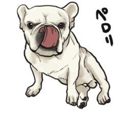 French Bulldog "BULLO" 1 sticker #1539558