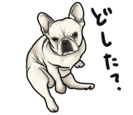 French Bulldog "BULLO" 1 sticker #1539559