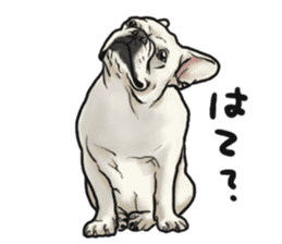 French Bulldog "BULLO" 1 sticker #1539560