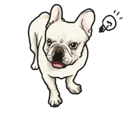 French Bulldog "BULLO" 1 sticker #1539561