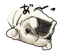 French Bulldog "BULLO" 1 sticker #1539568