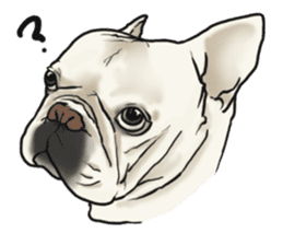 French Bulldog "BULLO" 1 sticker #1539569