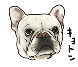 French Bulldog "BULLO" 1 sticker #1539570