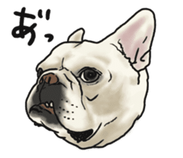 French Bulldog "BULLO" 1 sticker #1539571