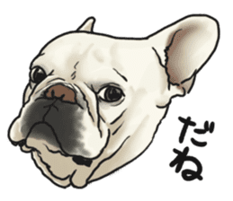 French Bulldog "BULLO" 1 sticker #1539573