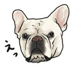 French Bulldog "BULLO" 1 sticker #1539574