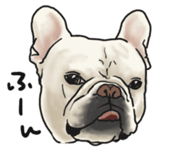 French Bulldog "BULLO" 1 sticker #1539575