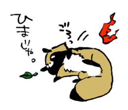 Transmission raccoon dog sticker #1539702