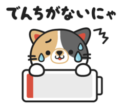 Koume of the cat. sticker #1541343