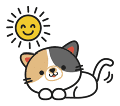 Koume of the cat. sticker #1541354