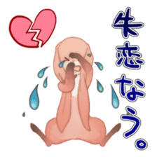 KAWAII Animal babys sticker #1544165