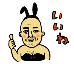 NICE Sticker Complete Box sticker #1544204