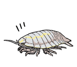 Both yucky and 'kawaii' deep-sea fish sticker #1547097