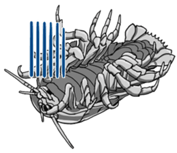 Both yucky and 'kawaii' deep-sea fish sticker #1547102