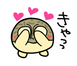 Peetarou of Namaqua Rain Frog sticker #1549258