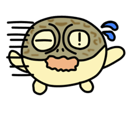 Peetarou of Namaqua Rain Frog sticker #1549263