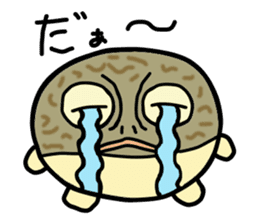 Peetarou of Namaqua Rain Frog sticker #1549265