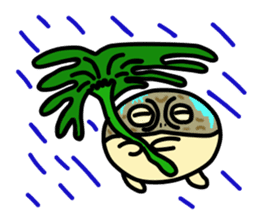 Peetarou of Namaqua Rain Frog sticker #1549291