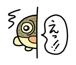 Peetarou of Namaqua Rain Frog sticker #1549294