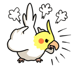 Lutino cockatiels sticker #1551297