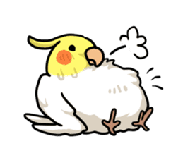 Lutino cockatiels sticker #1551298