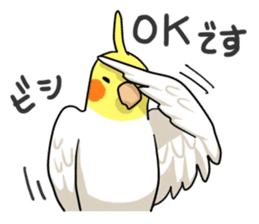 Lutino cockatiels sticker #1551299