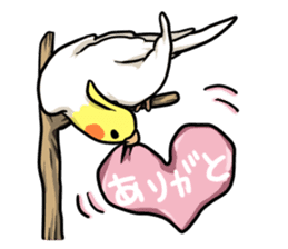 Lutino cockatiels sticker #1551300