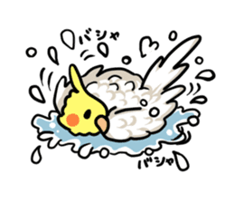 Lutino cockatiels sticker #1551301