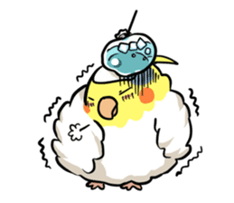 Lutino cockatiels sticker #1551306