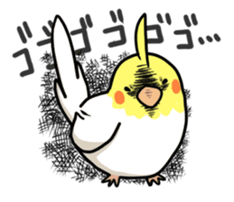 Lutino cockatiels sticker #1551307