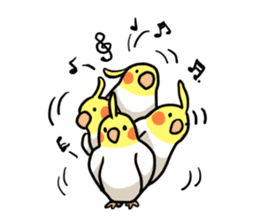 Lutino cockatiels sticker #1551309