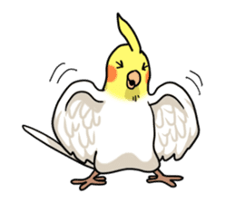 Lutino cockatiels sticker #1551310