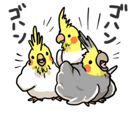 Lutino cockatiels sticker #1551312