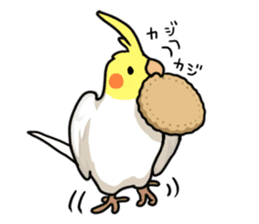 Lutino cockatiels sticker #1551319