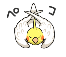 Lutino cockatiels sticker #1551321
