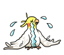 Lutino cockatiels sticker #1551322