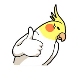 Lutino cockatiels sticker #1551323