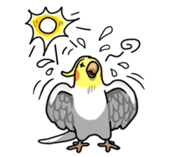 Lutino cockatiels sticker #1551325