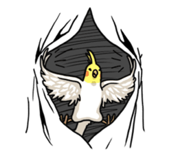 Lutino cockatiels sticker #1551326